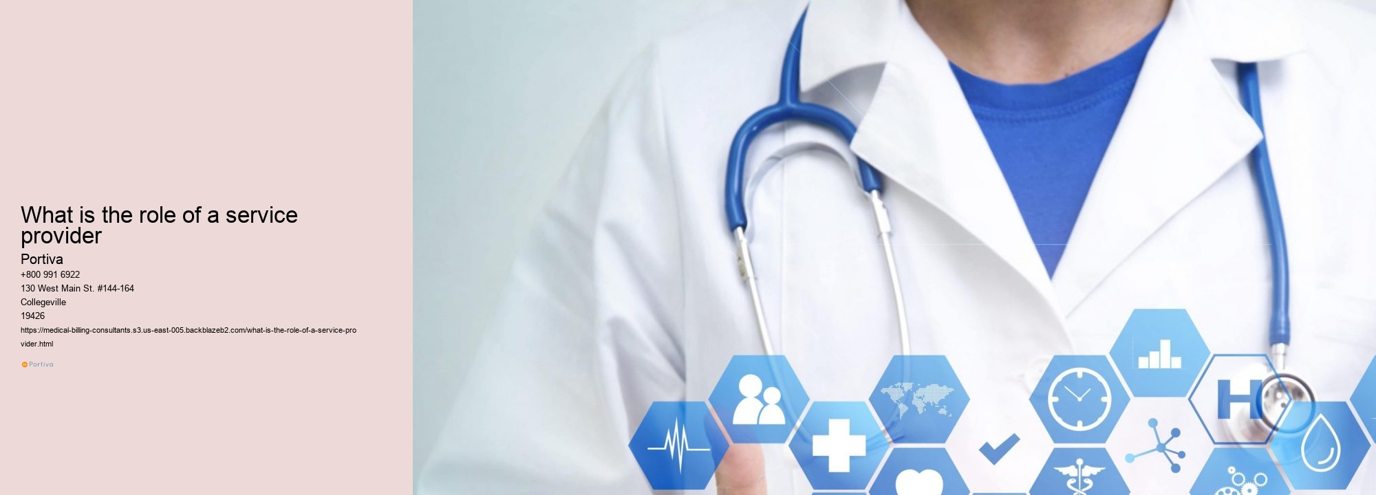 What is the role of a service provider